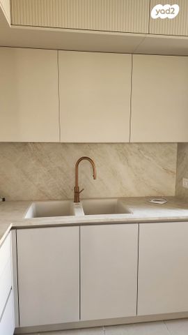 הרמן צבי שפירא 2