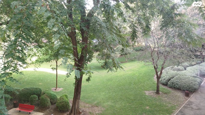 דירה, המעגל 52, רימון, קרית אונו