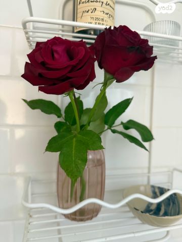 סטודיו/ לופט, בן יהודה 82, הצפון הישן - דרום, תל אביב יפו