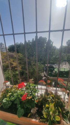 דירה, הנרקיס 14, קרית ראשון, ראשון לציון