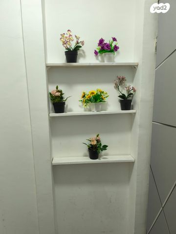 דירה, אליהו הנביא 9, שכונה ד', באר שבע