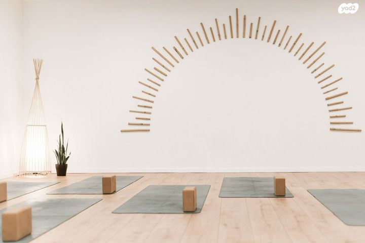 סטודיו, דיזנגוף 264, הצפון הישן - צפון, תל אביב יפו