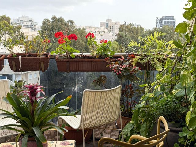 דירה, תל ברוך צפון, תל אביב יפו