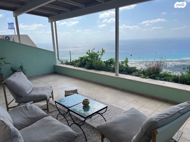 שלומציון המלכה 