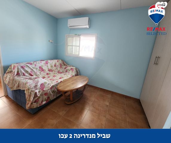 דירה, המנדרינה, אברהם דנינו, בן גוריון, עכו