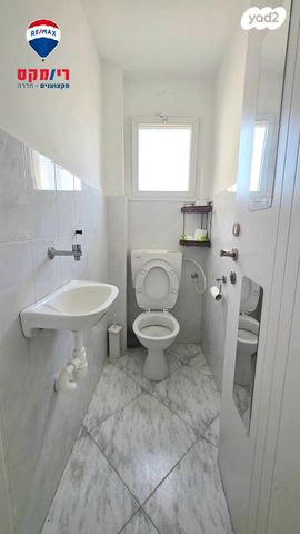 דירה, הרב בן איש חי, גבעת אולגה, חדרה