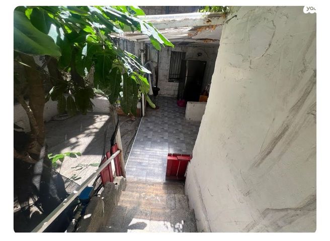 דירת גן, השלום, מסדה, חיפה