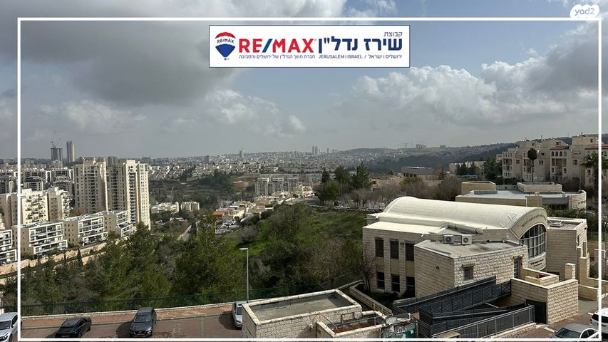 אריה דולצ'ין 