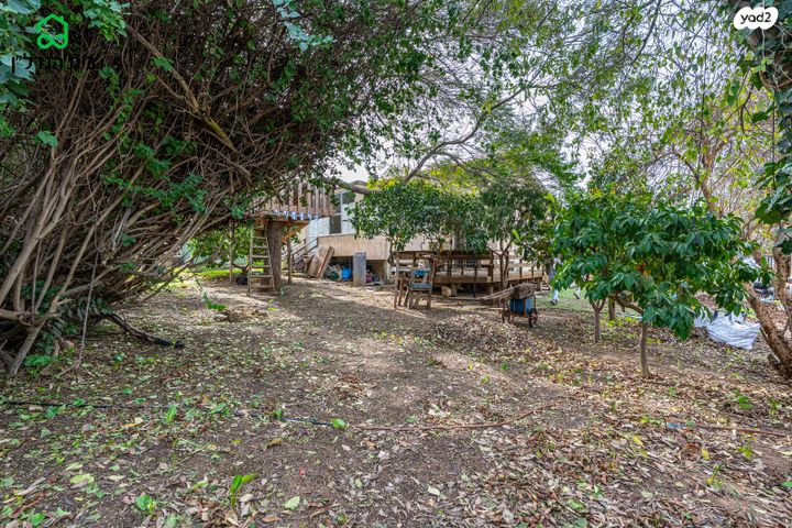 דו משפחתי, השיקמה 2, נווה שלו, זכרון יעקב