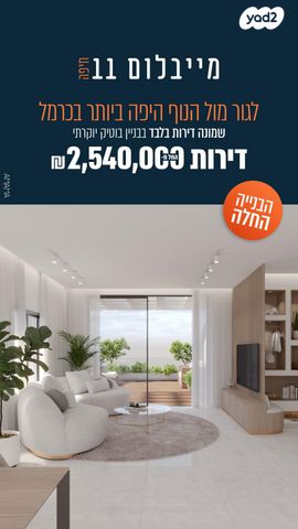 דורון מייבלום 