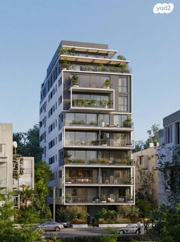 הצפון החדש - כיכר המדינה