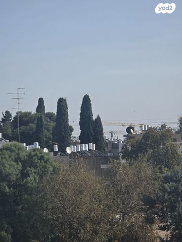 יד התשעה, שביב