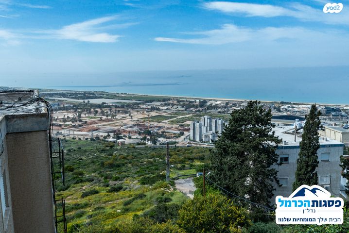 דירה, הרופא זלוצ'יסטי, חיפה