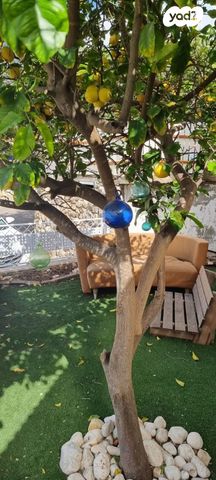 דו משפחתי, נוף העמק, מגדל העמק