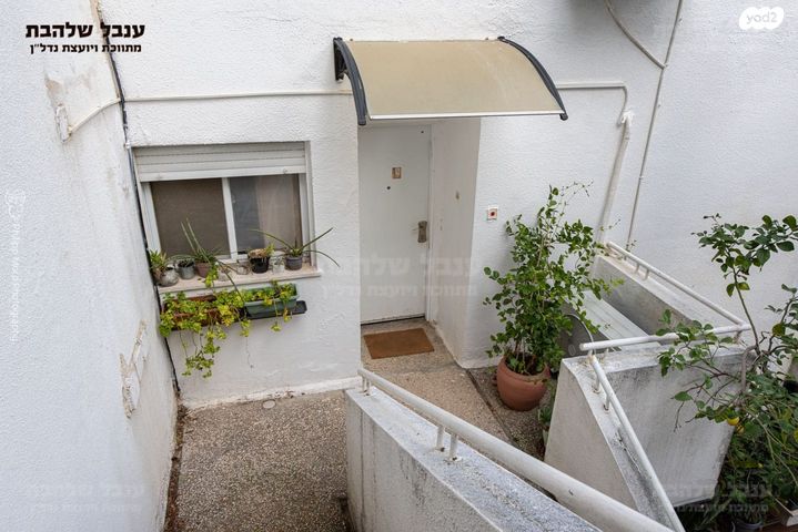 דירה, זאב וילנאי, רמת אלון, חיפה