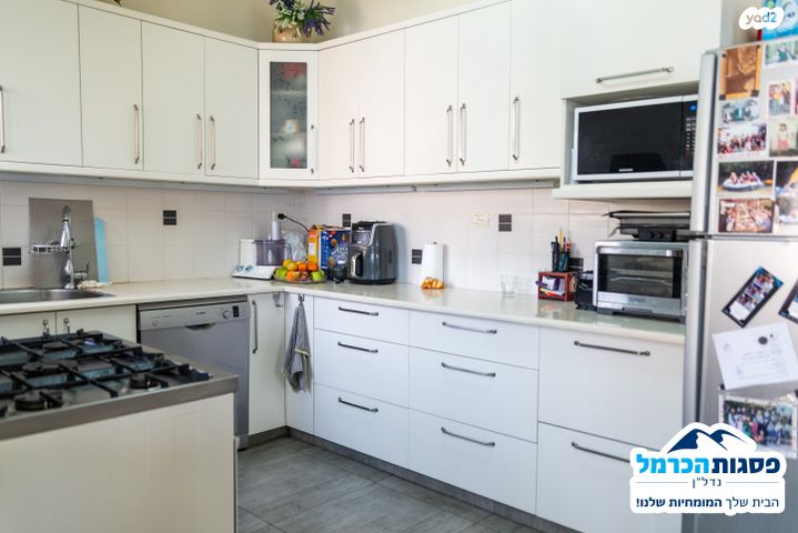 דירה, הרופא זלוצ'יסטי, חיפה