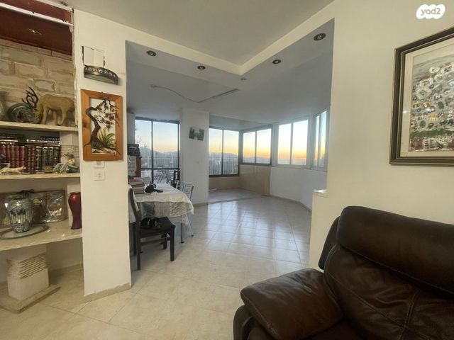 האדמו"ר מרוז'ין 