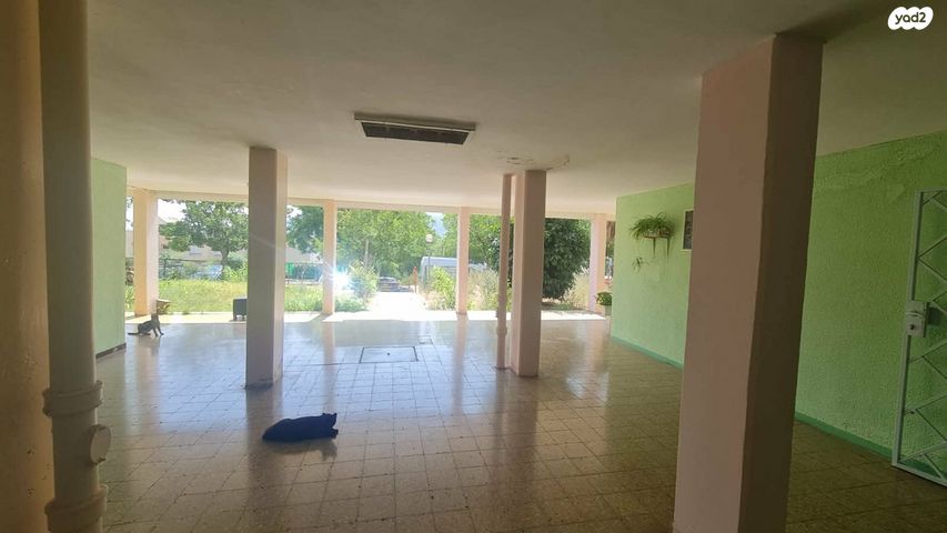 דירה, יחיעם, ארבל - יחיעם, כרמיאל