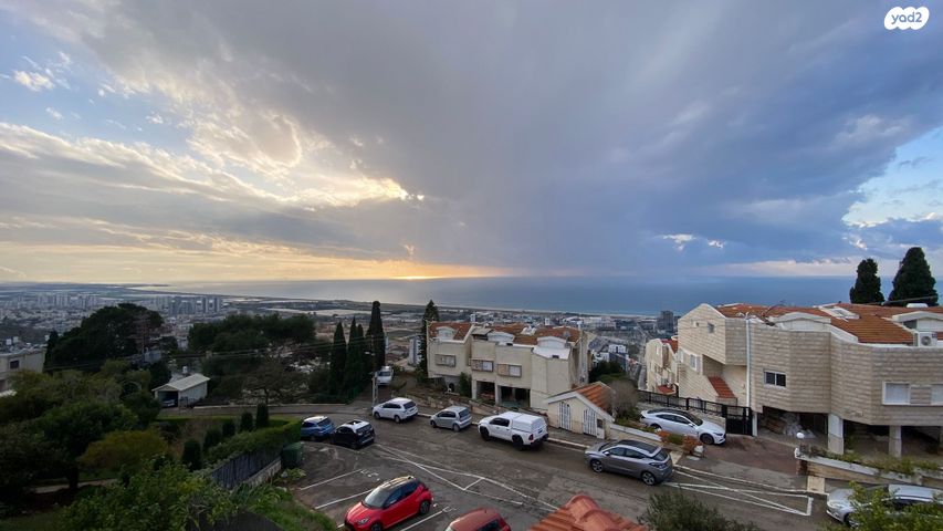 דירה, הרופא זלוצ'יסטי, אחוזה, חיפה