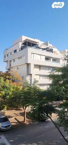 מרסל ינקו 12