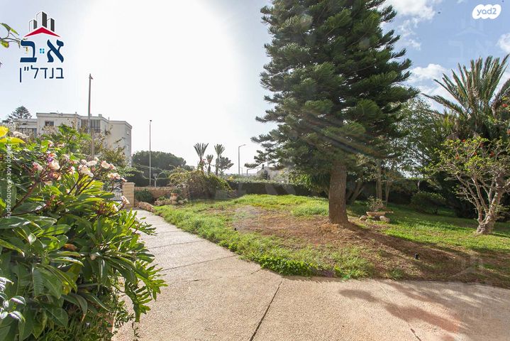 דירה, דרך פרויד, רמת אשכול, חיפה