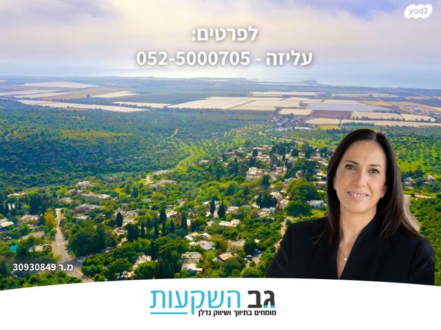 דירה, עין הוד