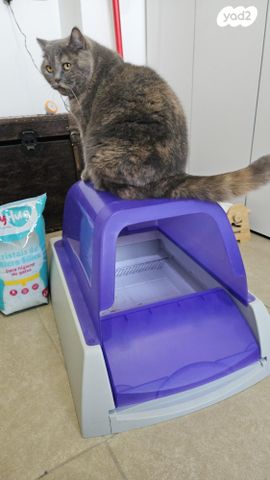 תמונת מודעה - חיות מחמד