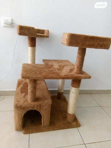 תמונת מודעה - חיות מחמד