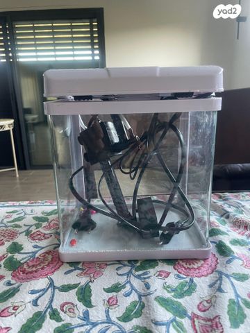 תמונת מודעה - חיות מחמד