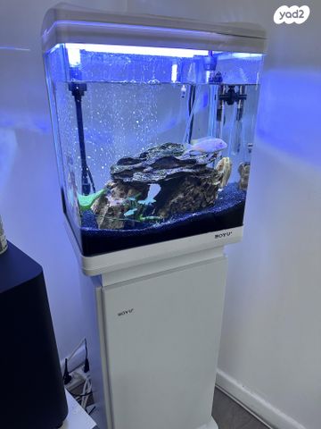 תמונת מודעה - חיות מחמד