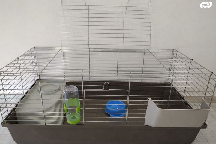 תמונת מודעה - חיות מחמד