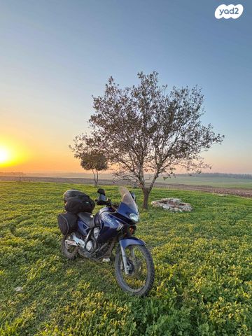 הונדה טרנסאלפ 650