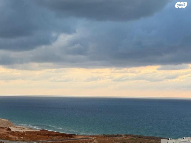 הבריגדה היהודית 50