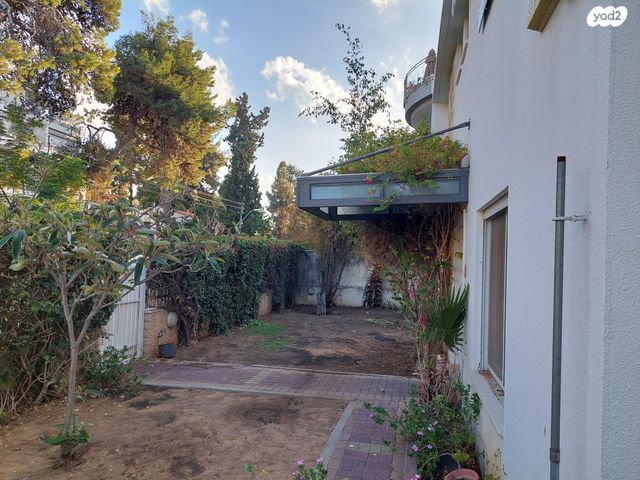 יצחק יציב 61