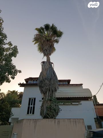 א.ד. גורדון 2