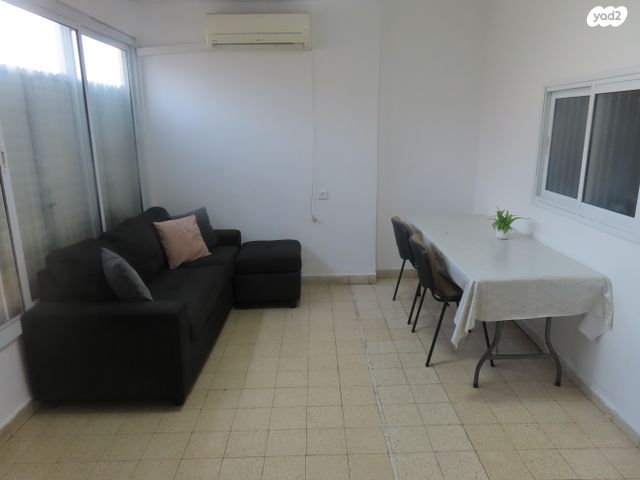 דוד פרנקפורטר 13