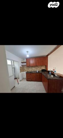 דוד אלעזר 31