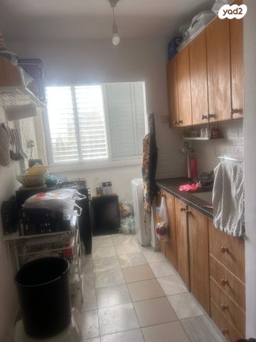 דוד אלעזר 11