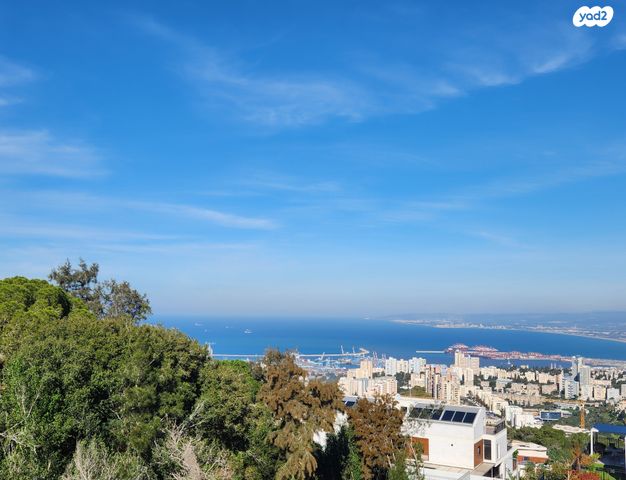 עמירם חרלף 5