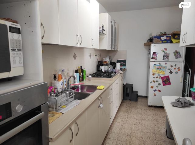 זאב ז'בוטינסקי 14