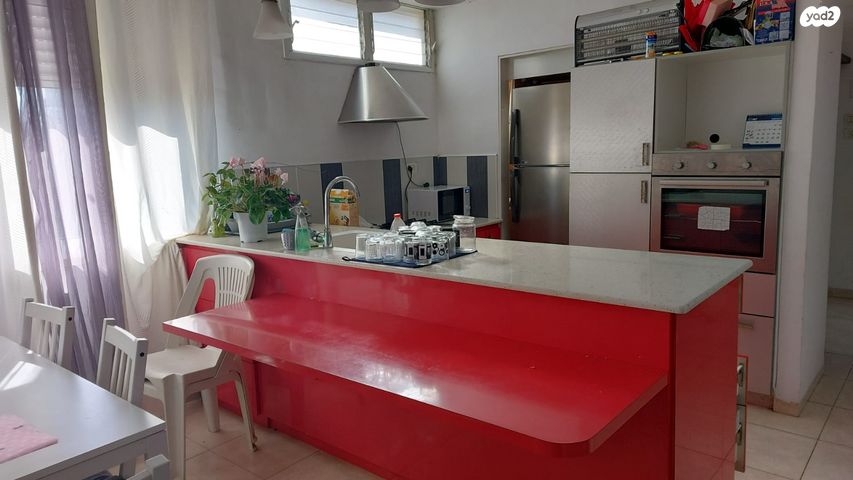 זאב ז'בוטינסקי 19