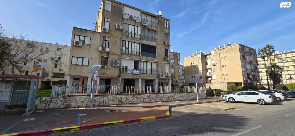 הרב הרצוג 29