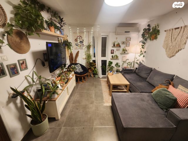 אלכסנדר ינאי 