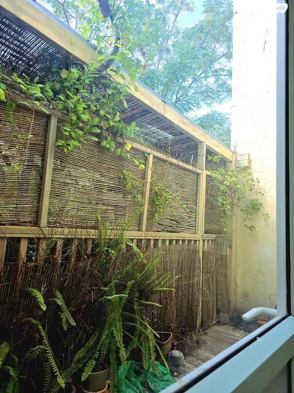 טבעון הוותיקה