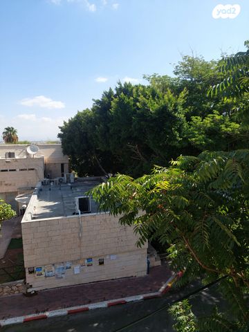 מרדכי בר מוחא 