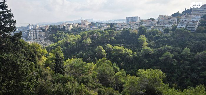 בית פרטי/ קוטג'