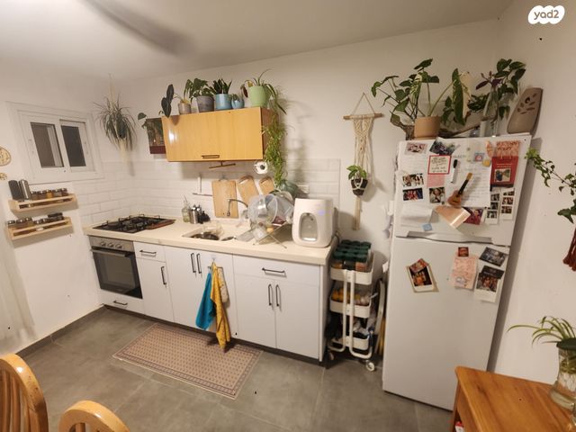 אלכסנדר ינאי 