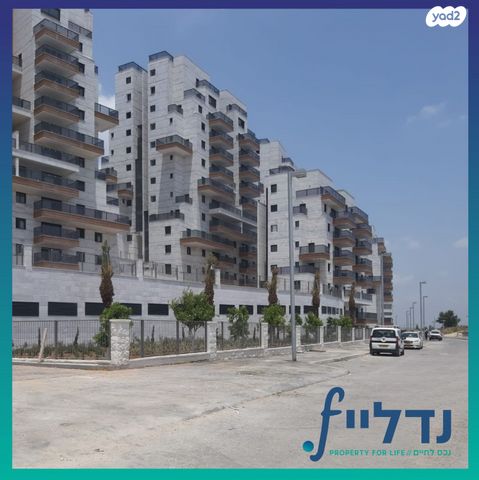 רועי קליין 27
