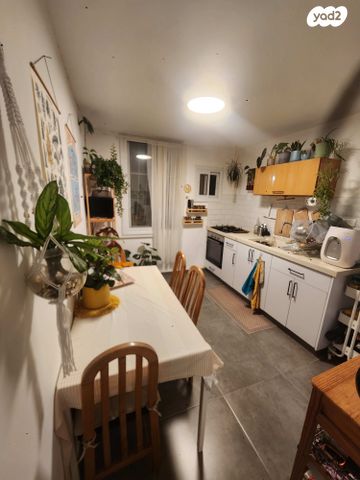 אלכסנדר ינאי 