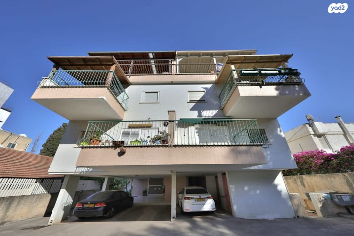 אלכסנדר זייד 23